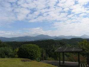 IMG_7081.JPG