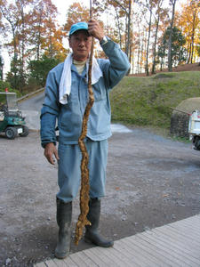 IMG_7720.JPG