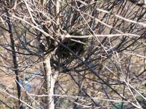 IMG_8285.JPG