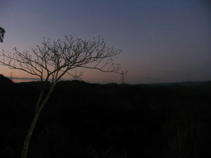 IMG_8275.JPG