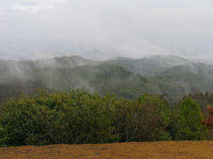 IMG_8325.JPG