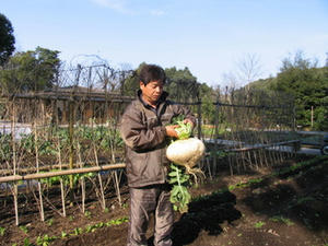 IMG_8187-1.JPG