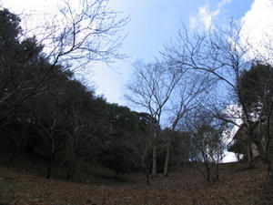 IMG_8421.JPG