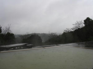 IMG_8425.JPG