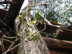 IMG_8446.JPG