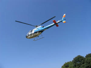 IMG_8481.JPG