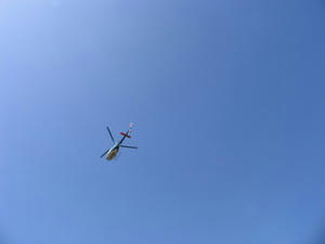 IMG_8482.JPG