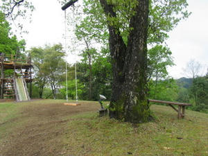 IMG_8717.JPG