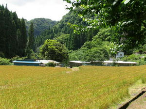 IMG_8993.JPG
