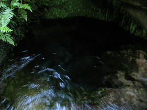 IMG_9215.JPG