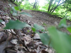 IMG_9225.JPG