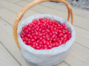 P1010932-1.JPG