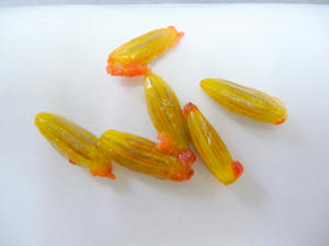 P1010925-1.JPG