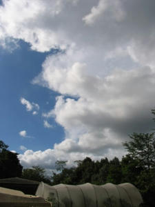 IMG_9817.JPG