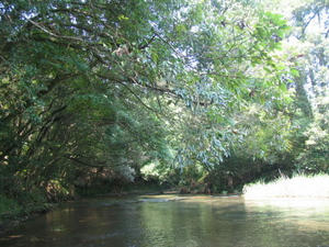 IMG_0002.JPG