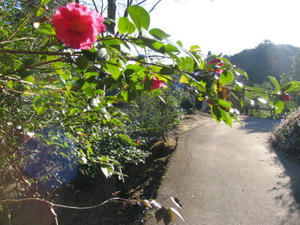 IMG_0038.JPG
