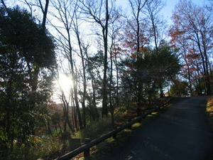 234d2942.JPG