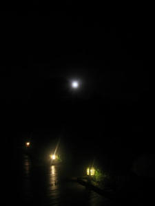 IMG_0680-1.JPG