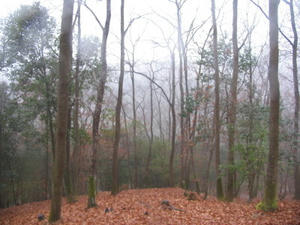 IMG_0034.JPG