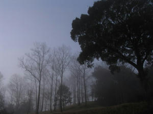 12c8303a.JPG