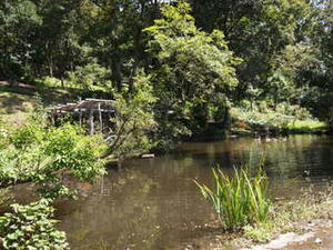 P9220942.JPG