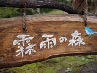 P9261008.JPG