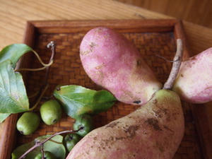 P9261022-1.JPG