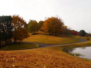 PB302403.JPG