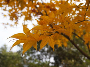 PB302410.JPG