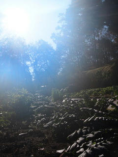 PC042636.JPG