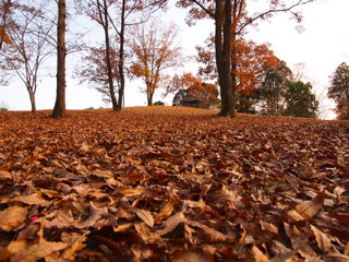 PC052699.JPG