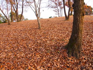 PC052706.JPG