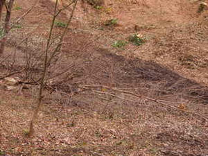 PC072760.JPG