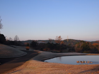 4392175a.JPG