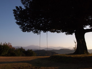 PC122786.JPG