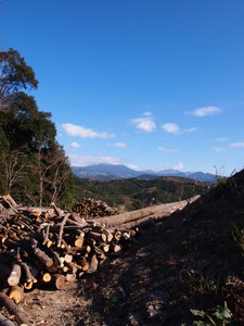 PC173018.JPG