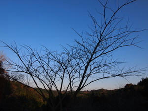 PC193027.JPG