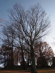 PC193028-1.JPG
