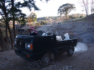 PC203035.JPG