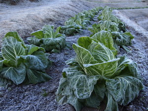 PC203041.JPG
