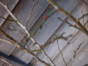 PC253135.JPG