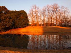 PC273148.JPG
