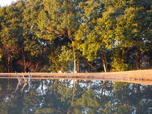 PC273152.JPG