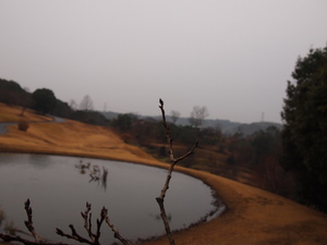 P1153290.JPG