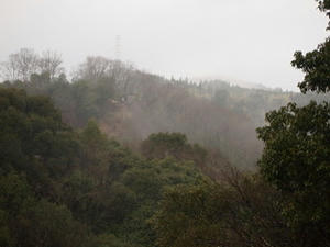 P3173846.JPG