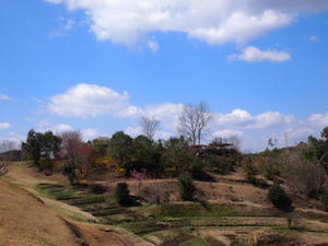 P3253876.JPG