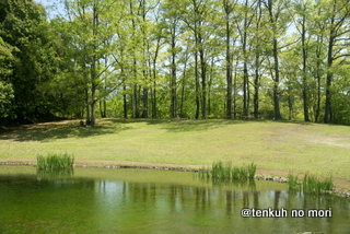 _MG_7184.JPG