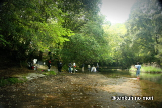 _MG_7137.JPG