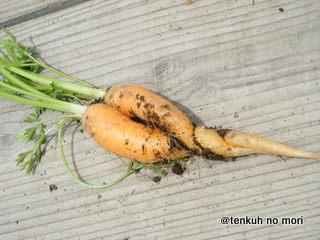 DSCF6978.JPG