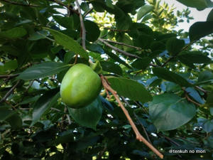 IMG_2227.JPG